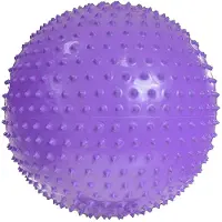 Pro-Fit ProFit - Gymnastikball, Massage PP9899 (Einheitsgröße) (Veilchen)