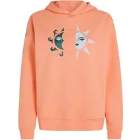 O'Neill Herren Kapuzensweat SUMMER MUSTHAVE HOODIE