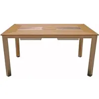 DELUKE Gartentisch FINJA mit 2 Eisbehältern - Kunststoff, Champagner, 150x90x75cm | Terrassentisch Wetterfest Outdoor Tisch