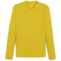 Puma teamGOAL Baselayer Tee LS