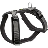 Hunter Maldon, Hund, Halftergeschirr, XS, Grau, Orange, Nylon, Einfarbig