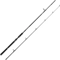 Penn Squadron IV Light Pilk 300cm 80-120g - Angelrute