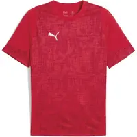 Puma Herren Shirt teamCUP Training Jersey