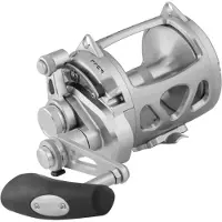 Penn International 30VISWS Silver - Big Game Multirolle