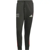 Adidas Herren Hose AUDI REVOLUT F1 TEAM DANN
