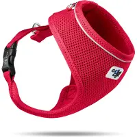 Curli Basic Geschirr Air-Mesh rot, Größe: S / Gewicht: 3-5 kg