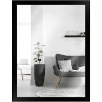 MendeFrames Spiegel Serie H960 schwarz 18x24 cm