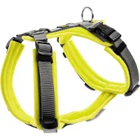 Hunter Geschirr Maldon Limette/Grau S-M