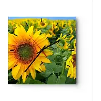 ARTTOR Wanduhr - Quadrat - Glasuhr - Wolken Sonnenblumen Plantagen - 40x40cm - Schleichendes Uhrwerk - Lautlos - zum Aufhängen bereit - Dekoration Modern - Wanddekoration aus Glas - C3AC40x40-1157