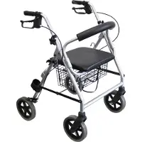 Trendmobil Leichtgewicht-Rollator, silber, mit Korb Alu - Größe: 53 cm Sitzhöhe (LR53)