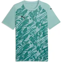 Puma teamFINAL Graphic Jersey, Größe:116, Farben Serie :Modern Mint-Black-Adriatic