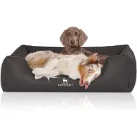 Knuffelwuff Orthopädisches Hundebett Columbia aus laser-gestepptem Kunstleder XL 105 x 75cm Schwarz