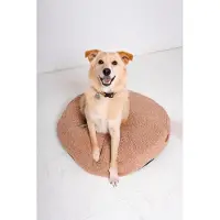 Rexproduct Coco Teddy– entzückendes, rundes Hund- und Katzenkissen, waschbar, Farbe dunkelbeige, Größe M