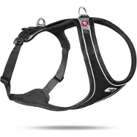 Curli Magnetic Belka Comfort Harness, Hund, Westengeschirr, L, Schwarz, Boxer, Einfarbig