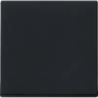 Gira 0296005 Wippe System 55 Schwarz matt (lackiert)