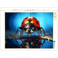 CALVENDO Puzzle Marienkäfer | 2000 Teile Lege-Größe 90x67cm Foto-Puzzle für glückliche Stunden