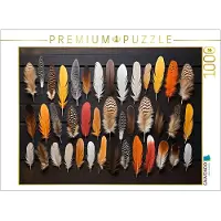 CALVENDO Puzzle Federsammlung - bunte Federn arrangiert | 1000 Teile Lege-Größe 64x48cm Foto-Puzzle für glückliche Stunden