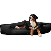 Tierlando TRIVIA | Orthopädisches Eckhundebett Polyester Hundebett Dreieckbett - Größe: 120x120cm | Farbe: 03 Schwarz
