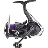 Daiwa Rolle Prorex V LT Modellgröße 2500-XH