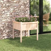 Prolenta Maison Exclusive - Garten-Pflanzgefäß Natur 70 x 70 x 70 cm Massives Kiefernholz