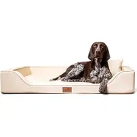 Tierlando Orthopädisches LUXUS-Hundebett MELODY LATEX Anti-Haar Kunstleder - Größe: 100x75cm | | Farbe: 05 Creme