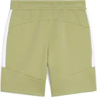 Puma teamEVOSTRIPE Shorts, Größe:3XL, Farben:Calming Green-Silver-White