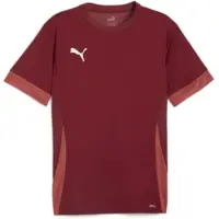 Puma Teamgoal Matchday Trikot Kurzarm Kinder - Bordeaux
