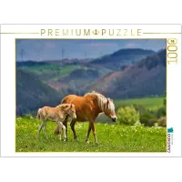 CALVENDO Puzzle Haflinger Stute mit Fohlen | 1000 Teile Lege-Größe 64x48cm Foto-Puzzle für glückliche Stunden