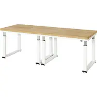 RAU Werkbank elektrisch höhenverstellbar, B2500xT900xH740-1140mm, B-Platte-40 mm