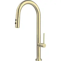 Deante Kitchen faucet w/pull-out spout - 2 spray modes