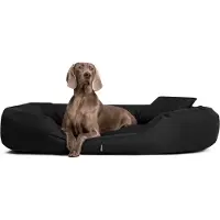 Tierlando Orthopädisches Hundebett SAMMY | Robuster Polyester | Dicke Umrandung - Größe: 140x105cm | Farbe: 03 Schwarz