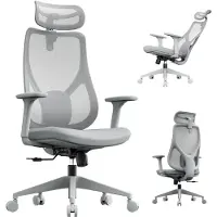 Sense7 Moyo Ergonomischer Bürostuhl Schreibtischstuhl Grau 3D-Armlehnen Netzrücken Lendenwirbelstütze Chefsessel Homeoffice PC Stuhl 150 kg