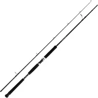 Shimano Fishing Beastmaster Ax Pilk Jiggingrute