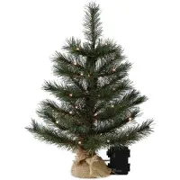 Gartenpirat Künstlicher Weihnachtsbaum LED warmweiß kiefernähnlich mit Frosteffekt batteriebetrieben beleuchtet : 45 cm