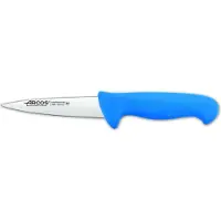 Jamon Metzgermesser Farbe - Prof 292923 Edelstahl Nitrum und mango ergonomische blaue Polypropylenklinge und 13 cm Klinge, Vitrine