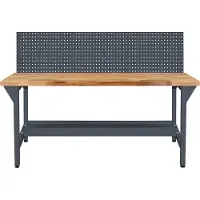 Proregal Werkbank Rhino Plus mit Lochplatte | HxBxT 131x150x70cm | Traglast 500kg | Anthrazitgrau