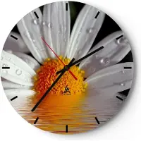 ARTTOR Wanduhr - Rund - Glasuhr - Kraut Kamille Blume Wasser - 40x40cm - Schleichendes Uhrwerk - Lautlos - zum Aufhängen bereit - Dekoration Modern - Wanddekoration aus Glas - C3AR40x40-2282