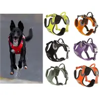 Hurtta 933407, Hund, Zuggeschirr, XL, Violett, Einfarbig, 78 cm