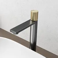 Doporro Wasserhahn Bad, Waschtischarmatur mit Auslaufhöhe 225 mm, Edelstahlgehäuse, Mischbatterie für Waschbecken Armaturen Grau Fino-01H