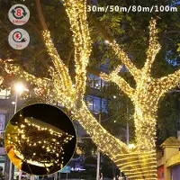 XMTECH mit Stecker 100m 1000 LED Warmweiß 8 Modi Weihnachten Beleuchtung für Party Hochzeit Ostern Garten