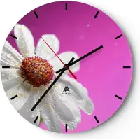 ARTTOR Wanduhr - Rund - Glasuhr - Blume frühling garten - 40x40cm - Schleichendes Uhrwerk - Lautlos - zum Aufhängen bereit - Dekoration Modern - Wanddekoration aus Glas - C3AR40x40-2469
