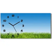 Tulup Wanduhr aus Glas – 60x30 cm - Glasbild - Glasuhr - Gehärtetes Glas - schwarze-zeiger - Gras