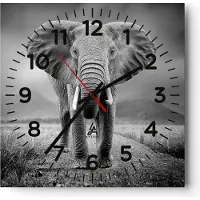 ARTTOR Wanduhr - Quadrat - Glasuhr - Elefant Wildnis Natur - 40x40cm - Schleichendes Uhrwerk - Lautlos - zum Aufhängen bereit - Dekoration Modern - Wanddekoration aus Glas - C4AC40x40-4966