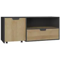 Masseno TV-Schrank CORTINA 120 cm Fernsehschrank mit 2 Schubladen und Türen TV-Lowboard für Wohnzimmer Modern 120x50x45 cm Graphitfarben / Eichefarben