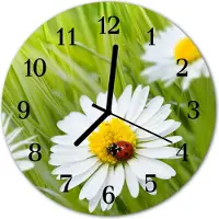 Tulup Glasuhr Wanduhr Küchenuhr Echt-Glas 30fi cm Margeriten grün weiß