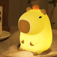 ROSNEK Capybara Nachtlicht Kinder LED Silikon Touch Lampe Dimmbar Aufladbare Nachttischlampe mit Timer