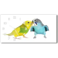 Tulup Wanduhr aus Glas – 60x30 cm - Glasbild - Glasuhr - Gehärtetes Glas - weisse-zeiger - Wellensittiche