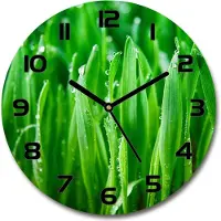 Tulup Wanduhr aus Glas 30fi Glasbild Glasuhr Gehärtetes Glas - schwarze-zeiger - Grass