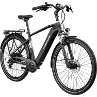 Zundapp "Z810" 8 Gang Shimano Altus RD-M310 Schaltwerk Kettenschaltung Heckmotor 250 W Pedelec, Elektrofahrrad für Herren