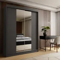 Masseno Schiebetürenschrank LUCENZA 160/216/61 cm 2-türig Schlafzimmer Schrank Kleiderschrank mit Spiegel Grau